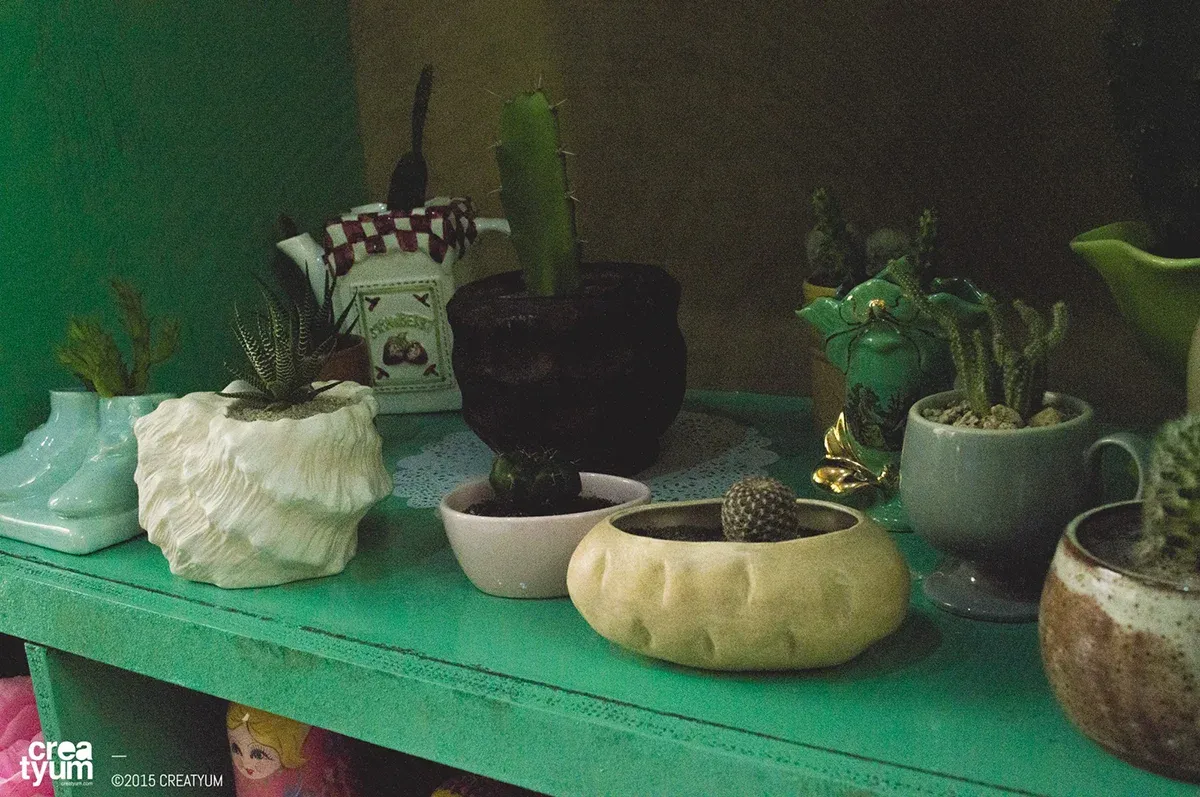 creatyum-cacti-love-04