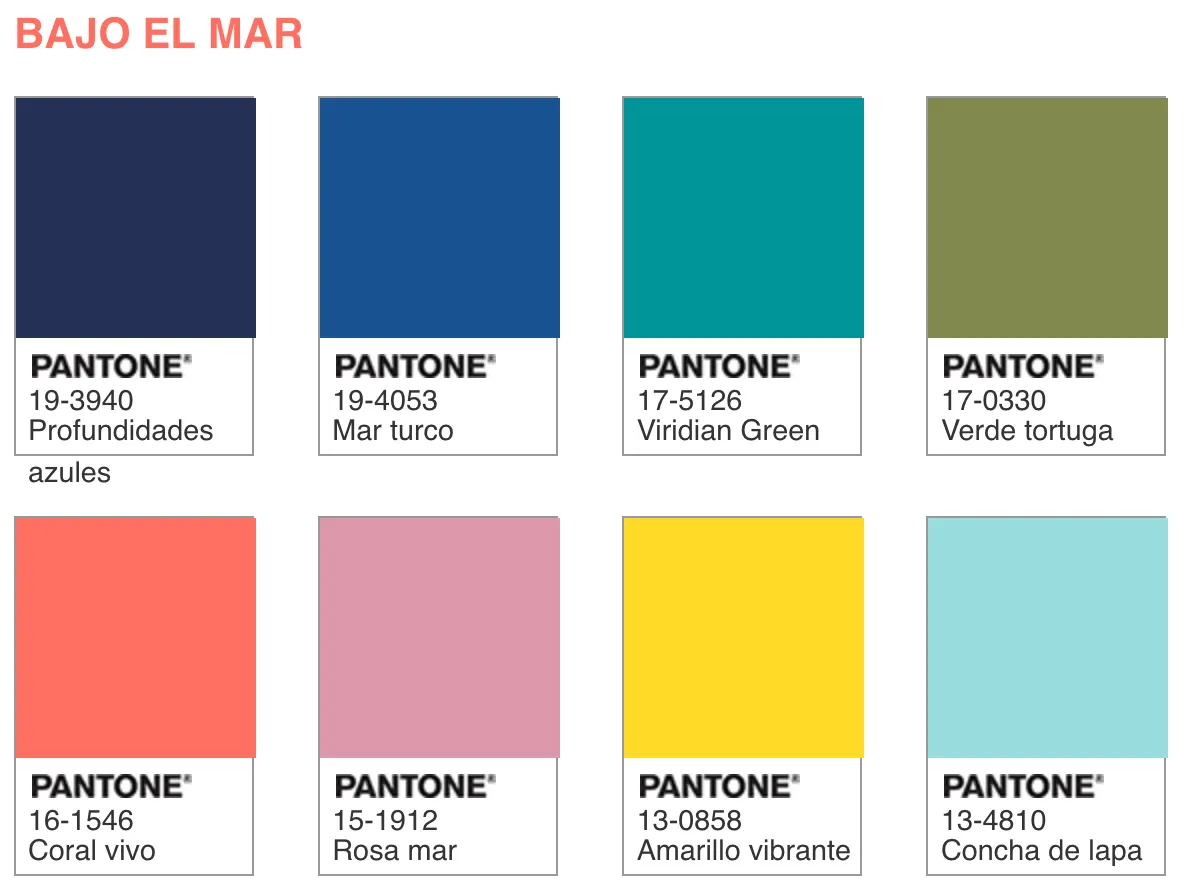 creatyum-media-living-coral-bajo-mar