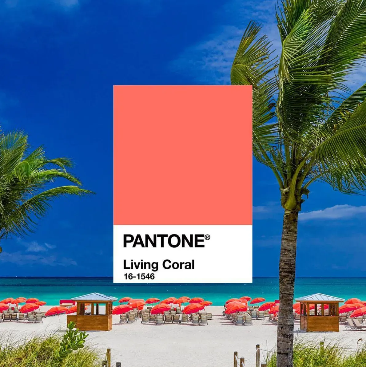 Instagram Pantone. creatyum-media-living-coral