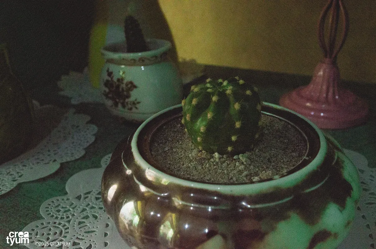creatyum-cacti-love-02